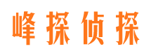 仓山市调查公司